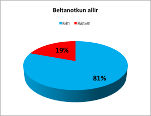 bilbelti1