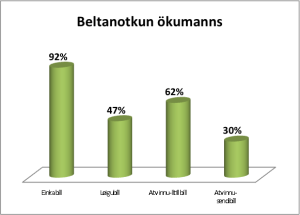 bilbelti3